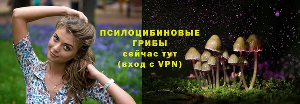 ALPHA-PVP Зерноград