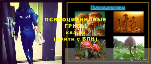 ALPHA PVP Зеленокумск